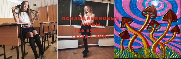 бутират Арсеньев