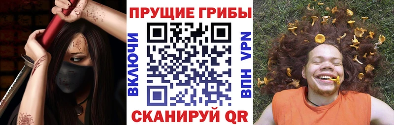 Галлюциногенные грибы ЛСД omg tor Фрязино купить наркотики сайты